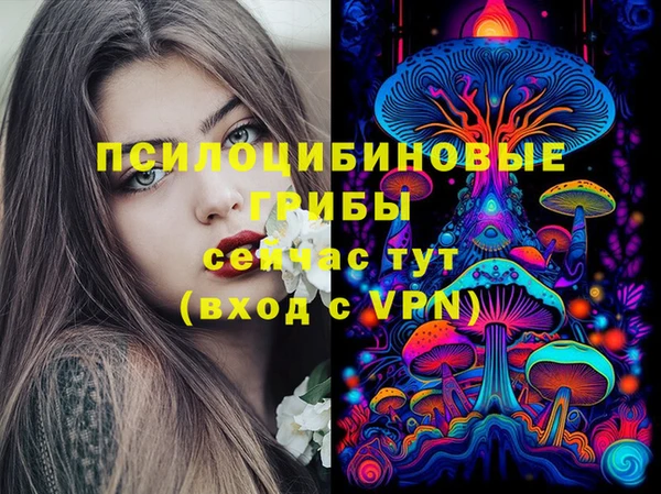 мяу мяу мука Белоозёрский