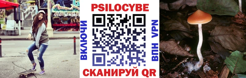 Галлюциногенные грибы Magic Shrooms  Чудово 