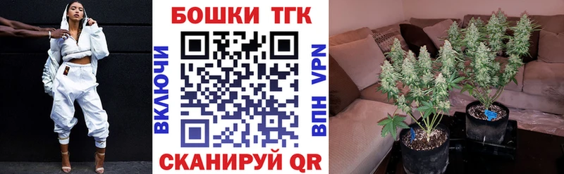 сколько стоит  Чудово  Канабис SATIVA & INDICA 